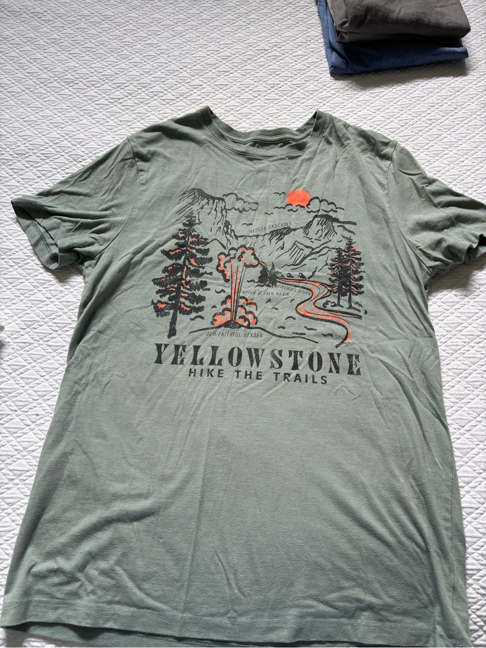 Goodfellow & Co Sage Green Yellowstone Graphic Tee with Orange Accents